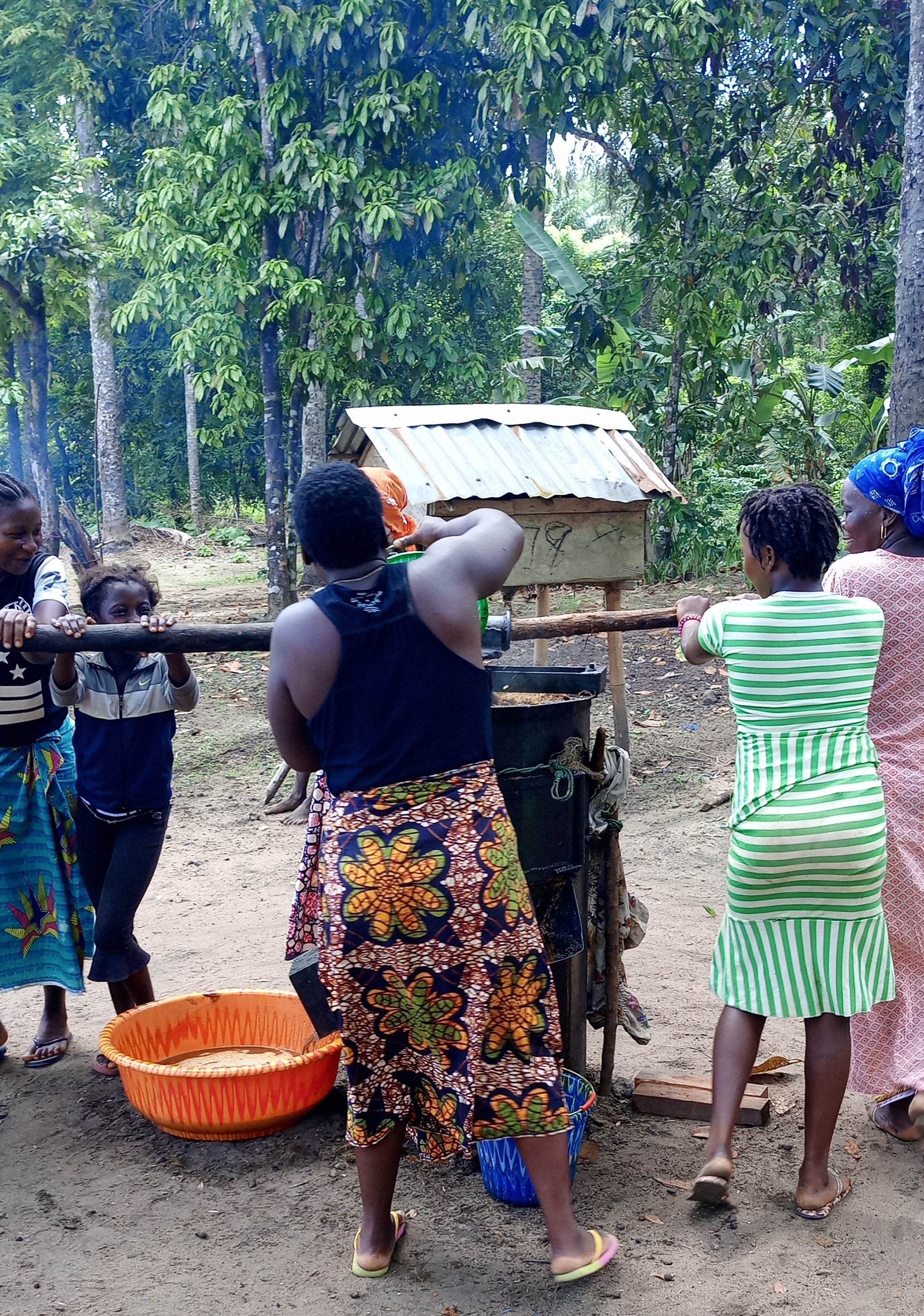 Palm oil machine in use