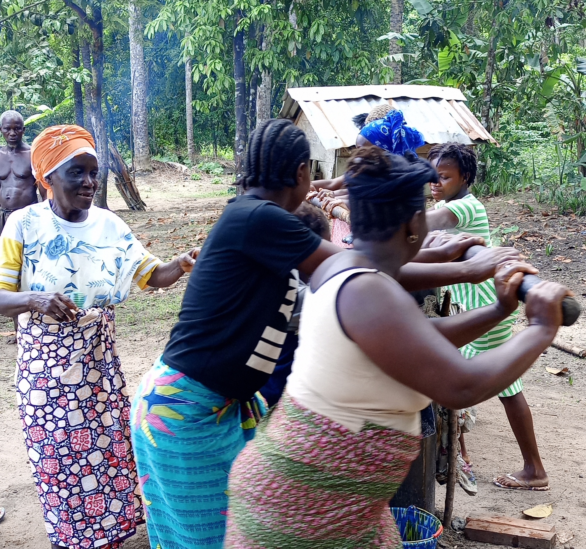 Palm oil processing